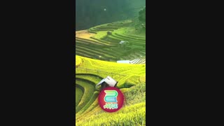 قصه شب دوجلدی (دوست جدید گلاب) قسمت 5