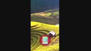 قصه شب دوجلدی (دوست جدید گلاب) قسمت 7