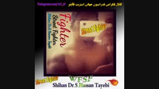 Kyoshi Doctor Hassan Tayebi