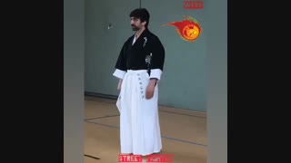 هانشی احمد الحسنی