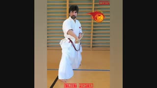 هانشی احمد الحسنی