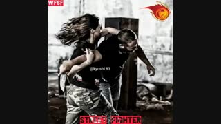 World Street Fighter Style WSFS