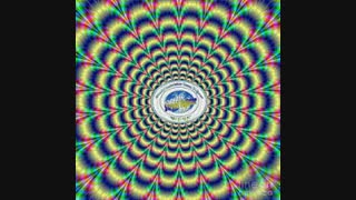 World Federation Street Fighter Wfsf