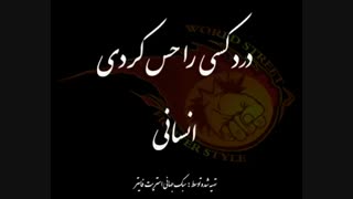 درد کسی را حس کردی ، انسانی .