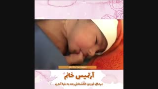 فیلم آرتمیس خانم شکموی ما