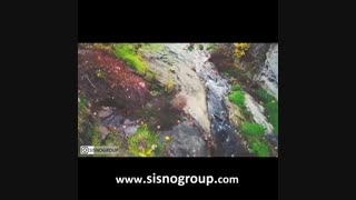 باغ گیاه شناسی تفلیس