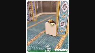 خرید سجاده فرش قیمت مناسب برای شرکت ایرانسل تهران