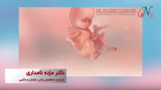 بارداری هفته به هفته