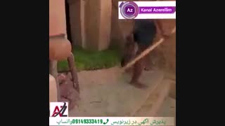 کار حیرت انگیز این واقعا دیدن داره