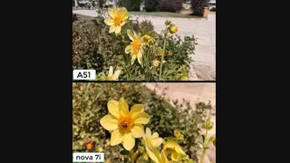 مقایسه حالت فیلمبرداری اسلوموشن دوربین گلکسی A51 و nova 7i در روز