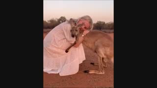 تو فقط باش : مازیار فلاحی -موزیک  تریدینگ تیم  پاکت آپشن  ( https://PocketOption.Blogsky.com )