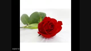 تاب آوری زنان