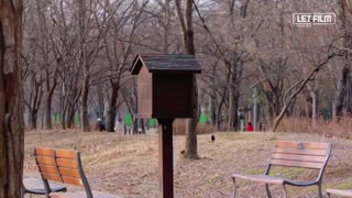 قسمت پنجم سریال کره ای تعطیلات زمستانی Winter Vacation 2020 با زیرنویس فارسی