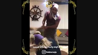 سازه کتین