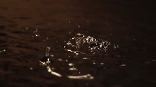 عطر و  ادکلن باربری مای باربری بلک Burberry My Burberry - خوش آرا