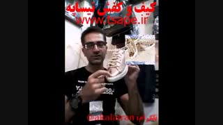 معرفی کفش مسی طلایی