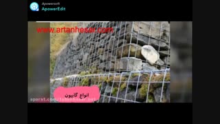 تولید سیم تیغ دار و سیم خاردار و فنس و نرده "آرتان حصار"