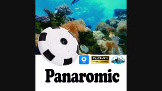 دوربین ٣٦٠ درجه فیش آی آنلاین