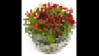 ارسال گل به عمان Oman