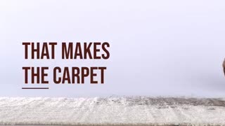 زایلین سیگما الدریچ | 09108165668 فروش