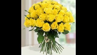 ارسال گل به قطر Qatar