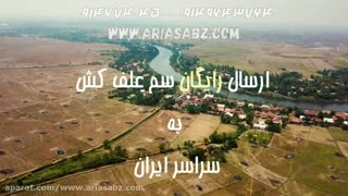 بوکتریل|buctril سم علف کش گندم و جو