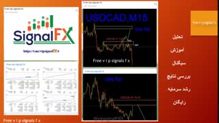 Free vip signals fx