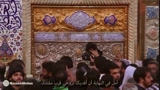 نماهنگ"ازت ممنونم" با نوای میثم مطیعی
