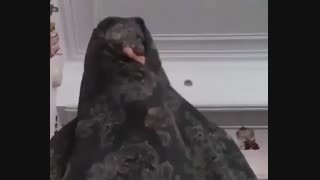 بازگشائی مدارس