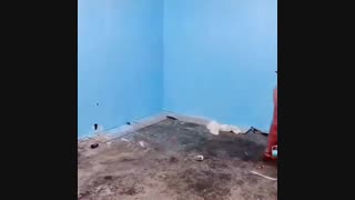 دیزاین اتاق عروس +روی لینک زیر فیلم کلیک کنید