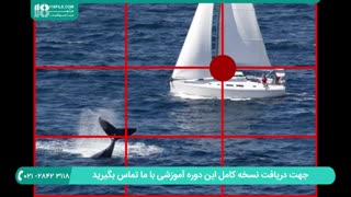 آموزش اصول کادر بندی در عکاسی از طبیعت و حیوانات