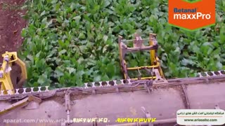 علف کش خارجی بتانال مکس ایکس پرو | betanal maxx pro