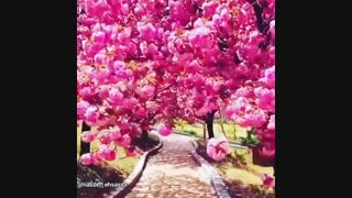 شاد ، عاشقانه و  احساسی - حالتو خوب کن