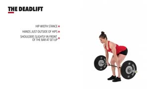 حرکت ددلیفت DeadLift