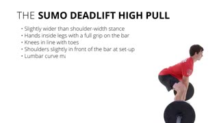 حرکت سومو ددلیفت های پول SumoDeadLift High Pull