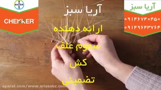 چکر، بهترین علف کش برای ریشه کن کردن علف هرز مزارع گندم |Chekker