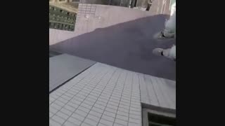 Freerunning | دکتر سعید قریشی