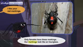 little fox_meet the animals17