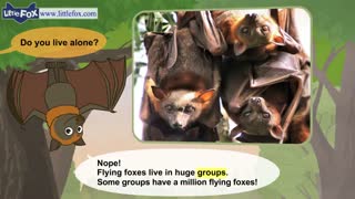 little fox_meet the animals18