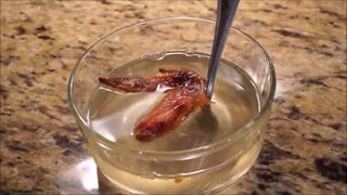 هیدروکسید پتاسیم مرغ را در استخوان حل می کند