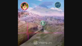 مثل عقاب اوج بگیر