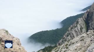 «اپرت»، مرز شگفت‌انگیز کویر و جنگل