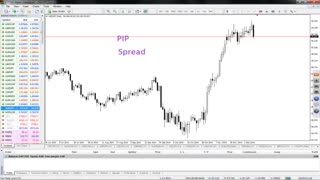 تعریف پیپ و اسپرد 4