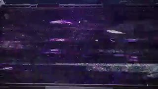 تریلر جدید Spider-Man: Miles Morales - گیم پلی