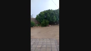 بارندگی تابستانه درروستای جونگان