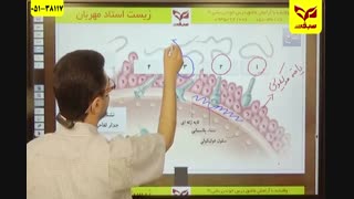 آموزش زیست استاد مهربان - تولید مثل قسمت دوم