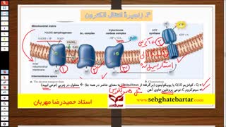 آموزش زیست استاد مهربان -تنفس یاخته ای