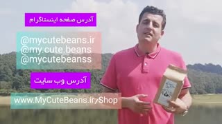 معرفی باکیفیت ترین چای محلی شمال