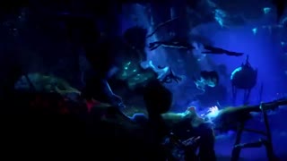 بازی ori and the will of the wisp  در راه کنسول محبوب نینتندو سوئیچ