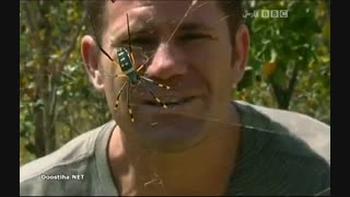 مرگ آفرینان 2 - Deadly 60